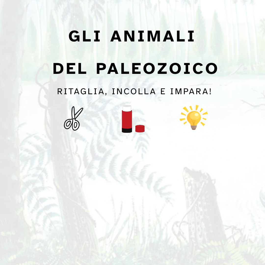 GLI ANIMALI DEL PALEOZOICO